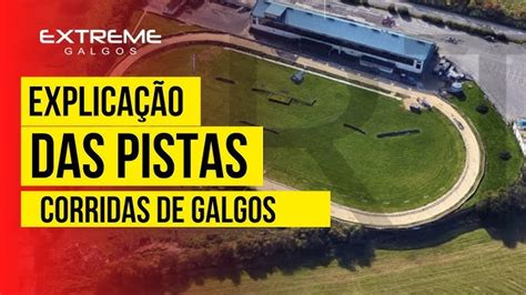 tv greyhound brasil|assistir corridas de galgos ao vivo.